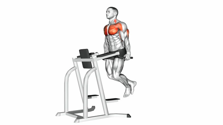 What are the best lower chest exercises