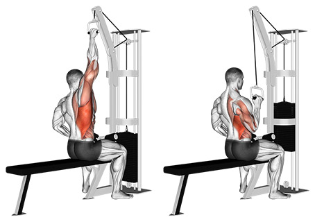 Single Arm Lat Pulldown - How to Instructions, Proper Exercise Form and  Tips