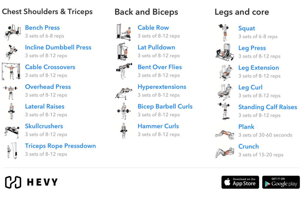 3 Day Split Workout Complete Guide Hevy 1 Workout Tracker