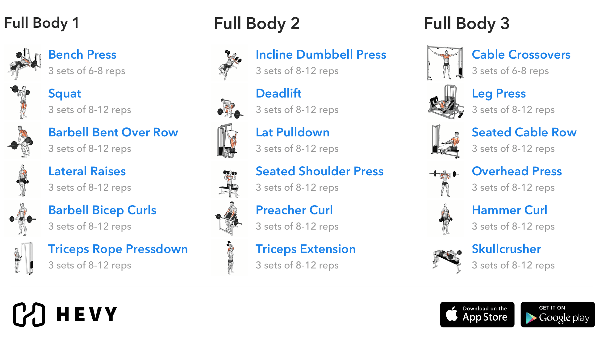 3 Day Split Workout - Complete Guide (2021) - Hevy #1 Workout Tracker