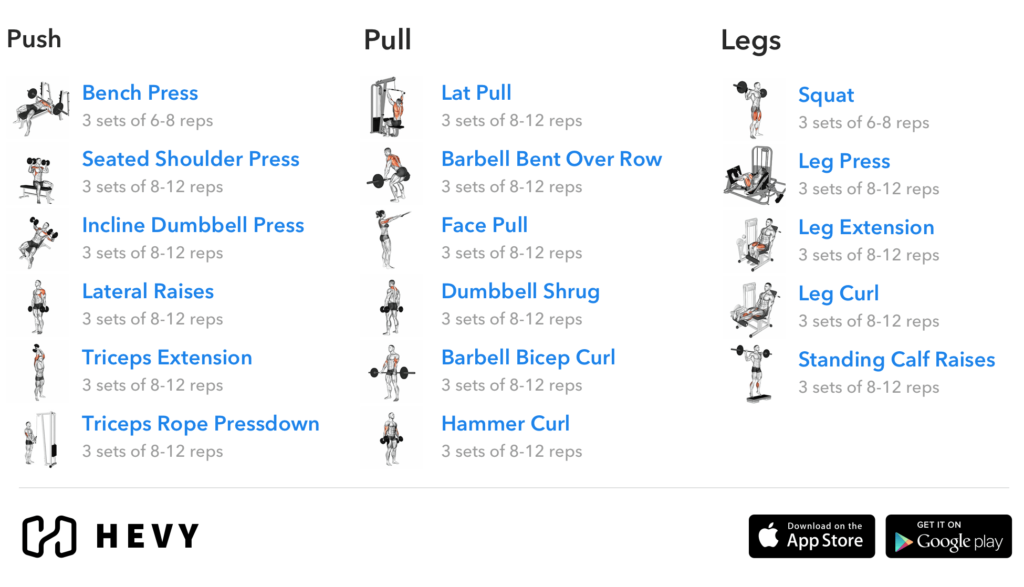 3 Day Split Workout Complete Guide 2023 Hevy 1 Workout Tracker