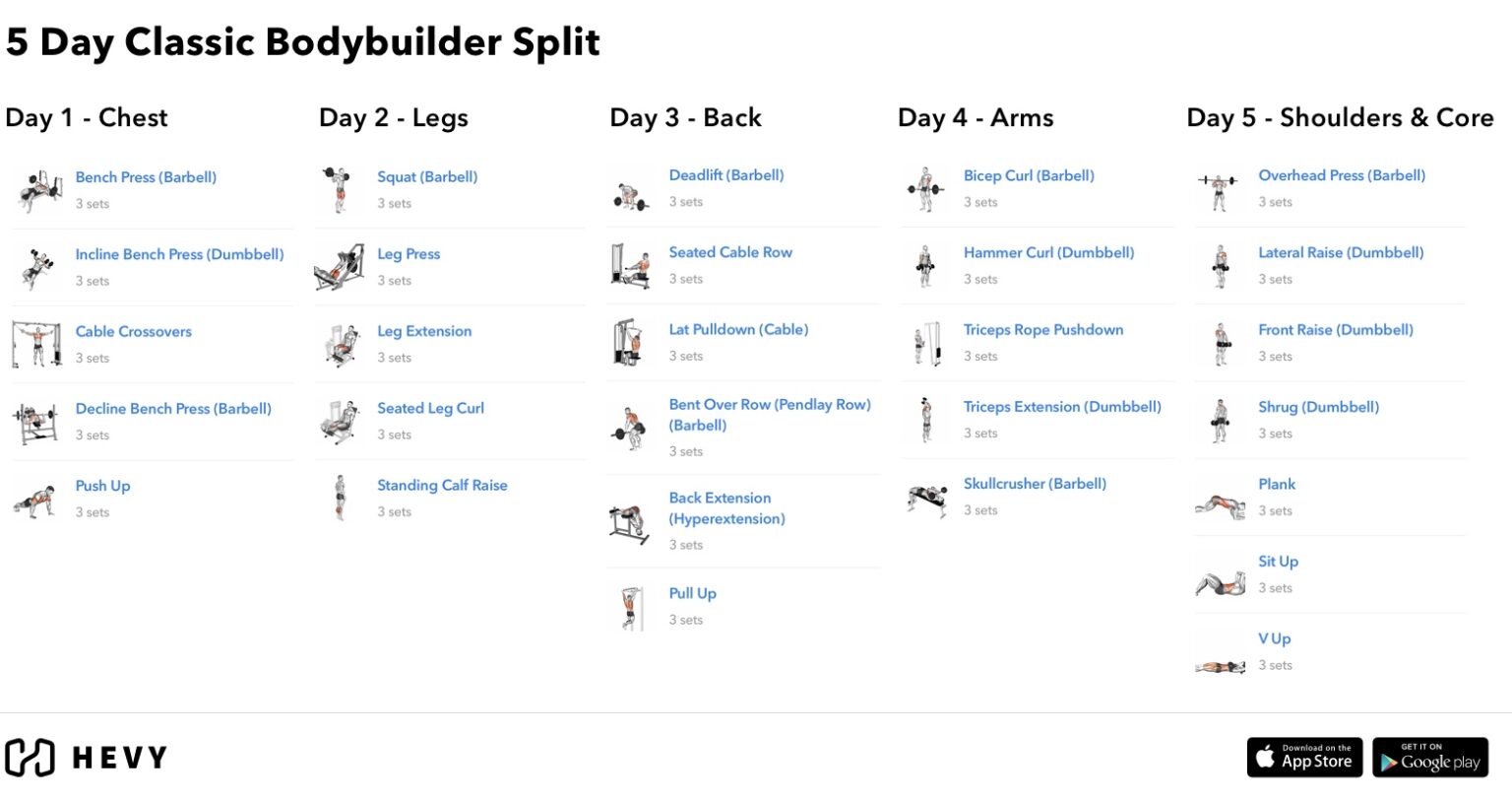 5-day-split-workout-routine-the-guide-2023-hevy-workout-tracker