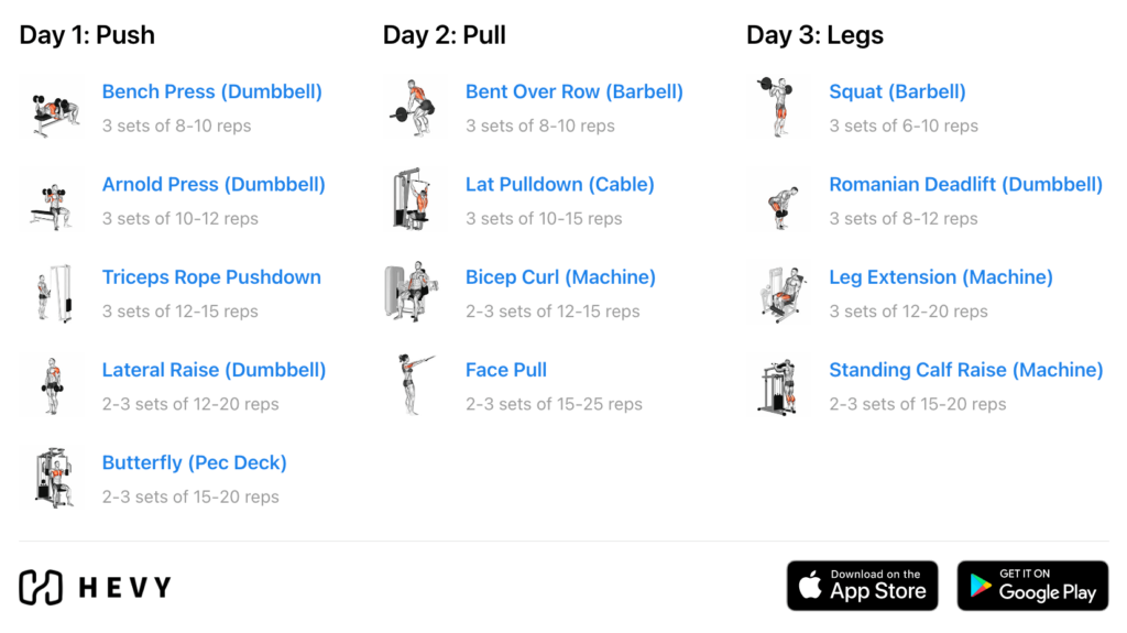 6 Day Push/Pull/Legs Planet Fitness Workout