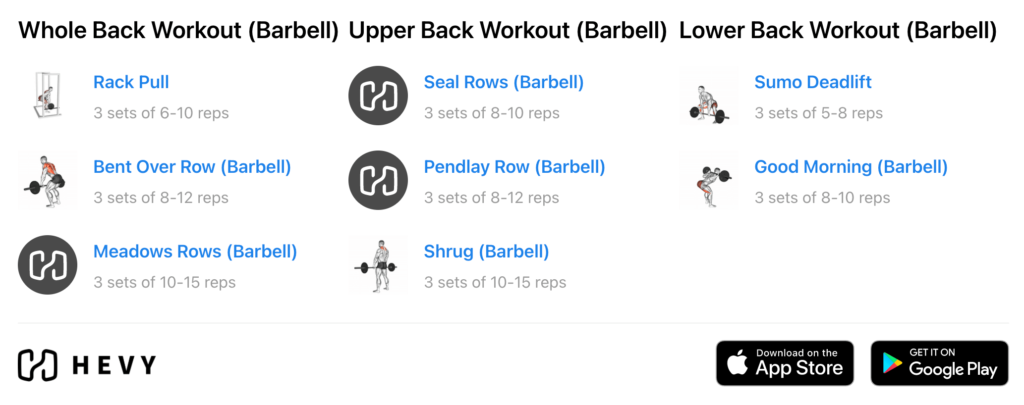 happy back day! First installment of my 5 day split routine! 3-4 sets , Back  Exercises