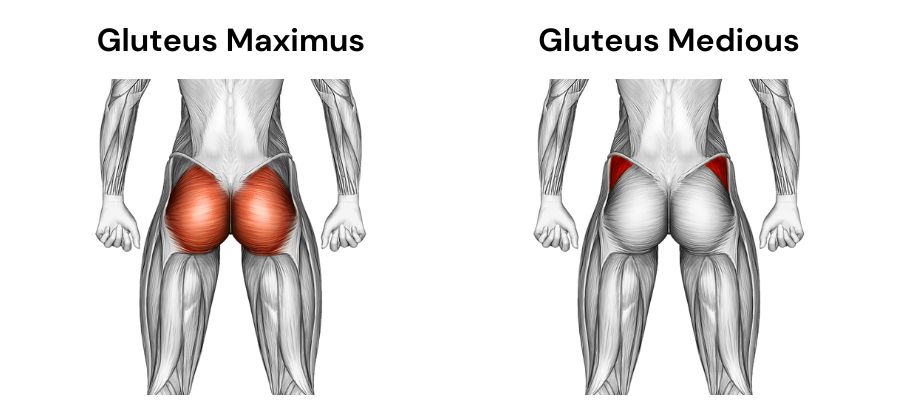 glute muscles workout