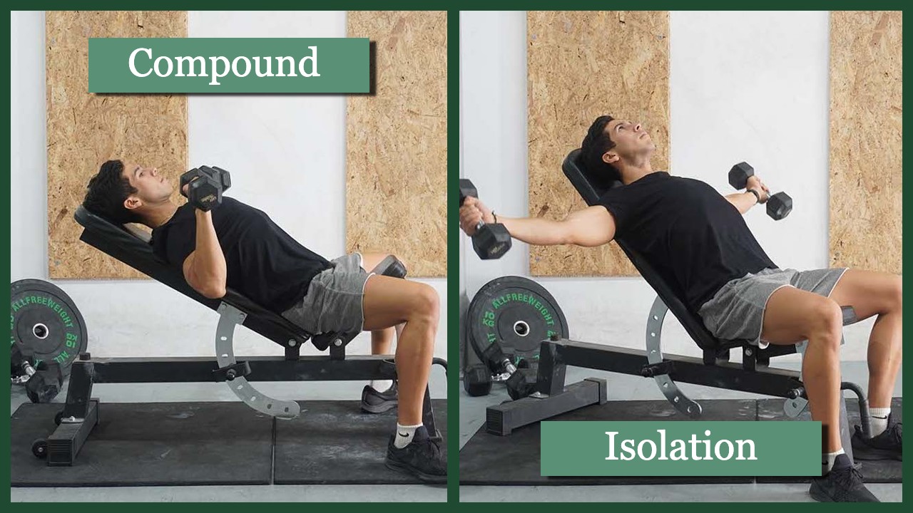 Chest Workout Routine For Mass That Works Every Chest Fiber