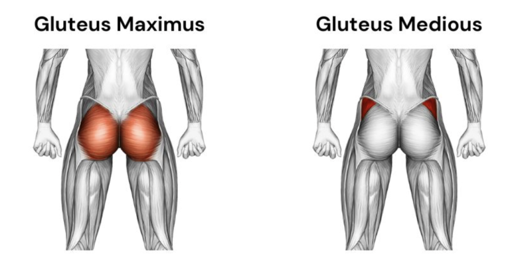 7 Best Glute Isolation Exercises For The Ultimate Butt Workout