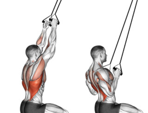 lat pulldown muscles